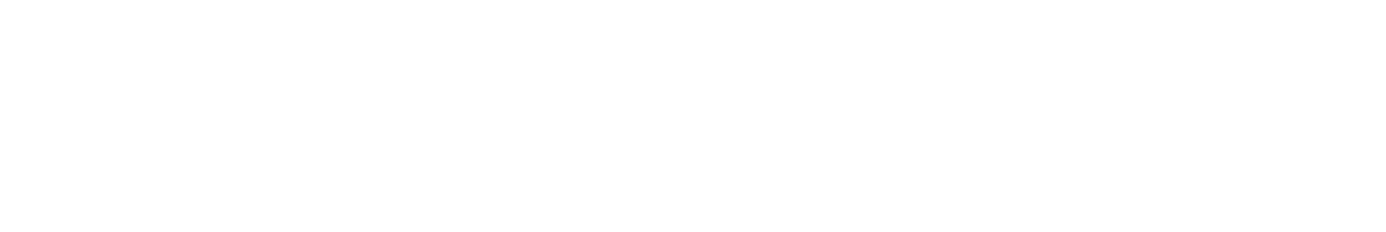 Kadima Strategies